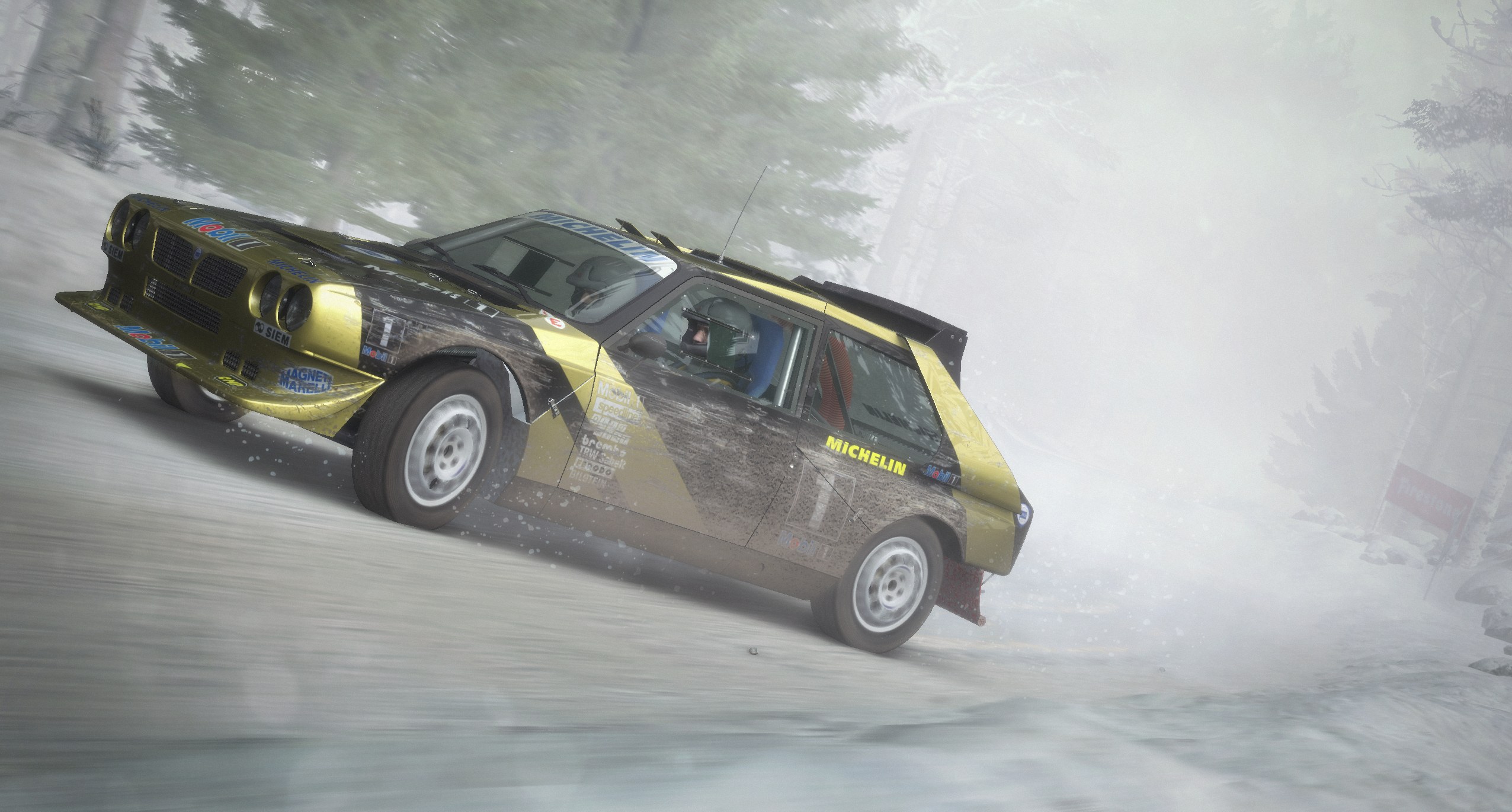 DiRT Rally - Imagen 26